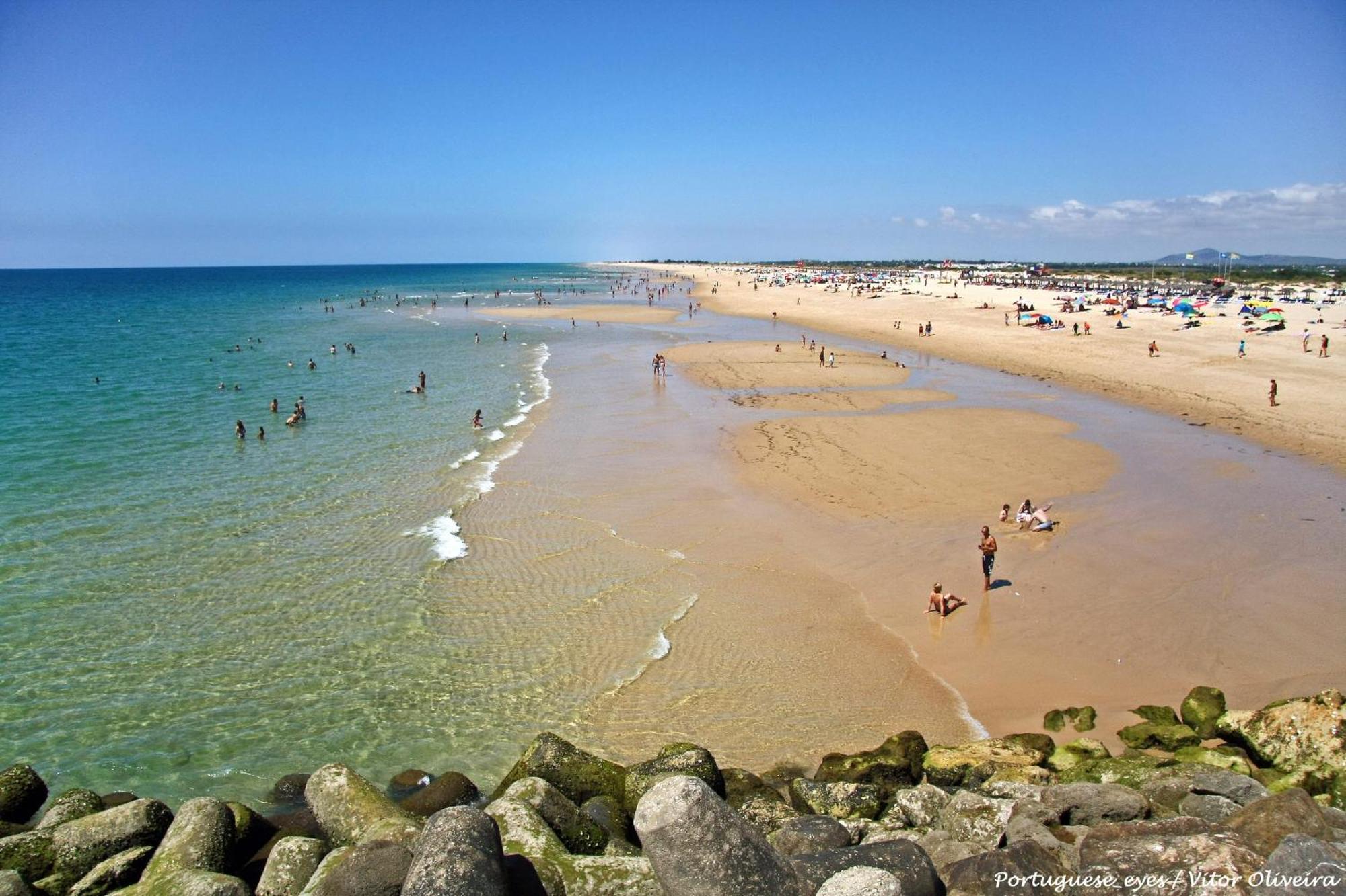 Apartament Tavira Palm Tree By Homing Zewnętrze zdjęcie